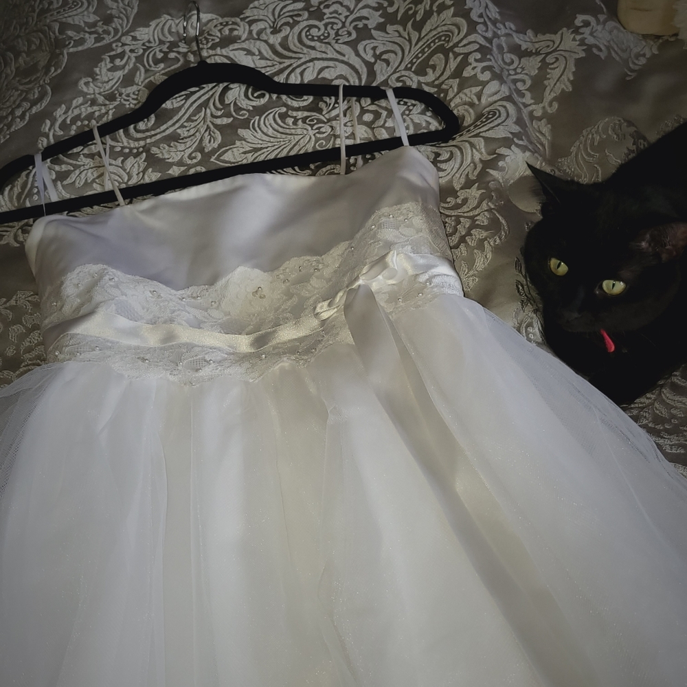 Dress - Picture 7 of 7